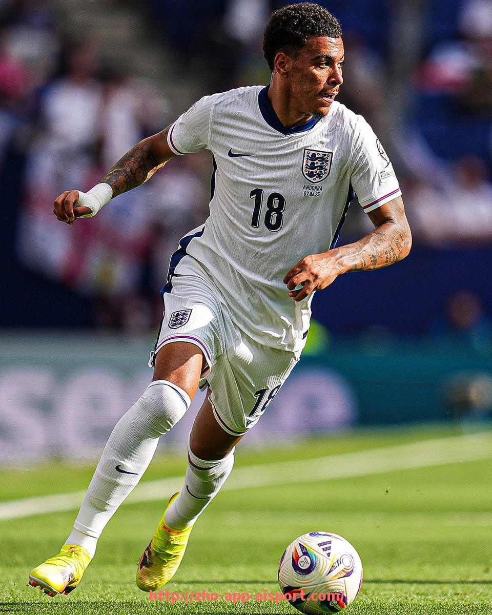 爱体育app-各德甲球队球衣赞助品牌大全（2025版）