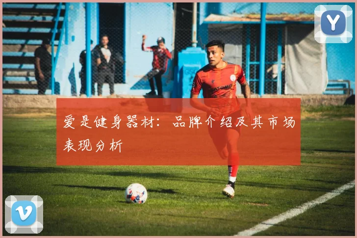 爱是健身器材：品牌介绍及其市场表现分析