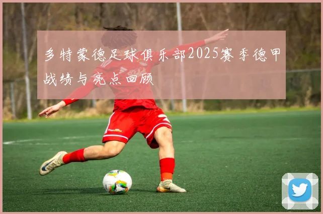 多特蒙德足球俱乐部2025赛季德甲战绩与亮点回顾